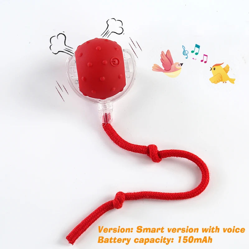 Iron Paw Smart Auto-Rolling Dog Ball