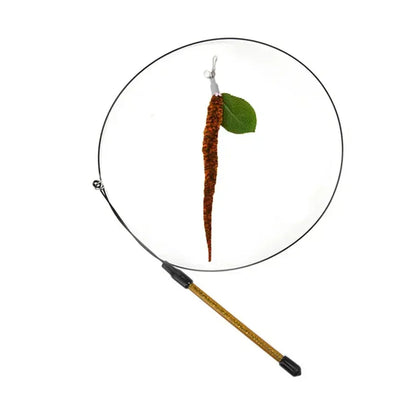 Simulation Bird Cat Teaser Wand — Interactive Feather Toy with Bell