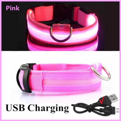 Iron Paw USB Rechargeable LED Safety Collar