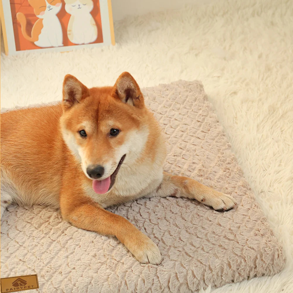 Iron Paw 3D Foam Pet Bed with Removable Faux Fur Cover