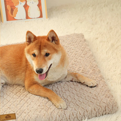 Iron Paw 3D Foam Pet Bed with Removable Faux Fur Cover