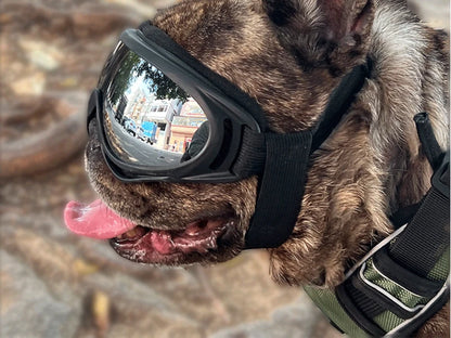 Iron Paw UV Protection Pet Goggles