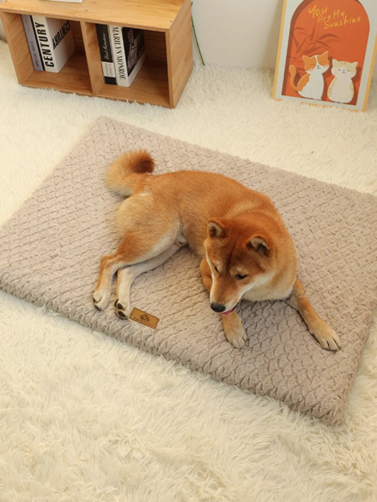 Iron Paw 3D Foam Pet Bed with Removable Faux Fur Cover