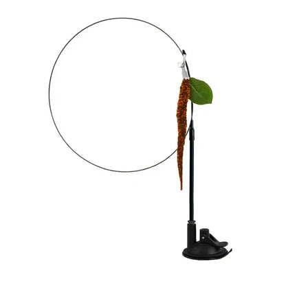 Simulation Bird Cat Teaser Wand — Interactive Feather Toy with Bell