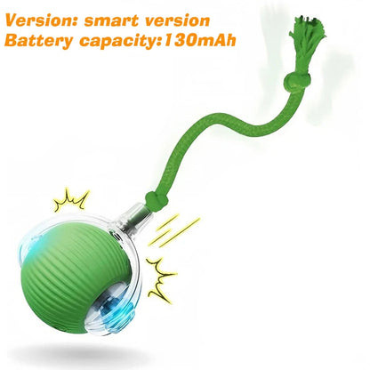 Iron Paw Smart Auto-Rolling Dog Ball