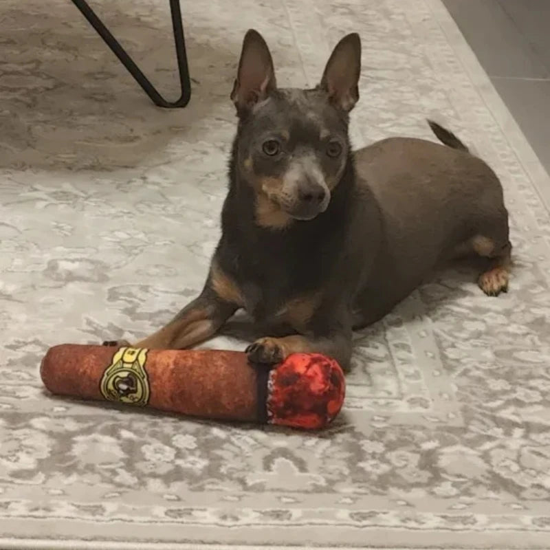 Iron Paw Plush Squeaky Chew Toy