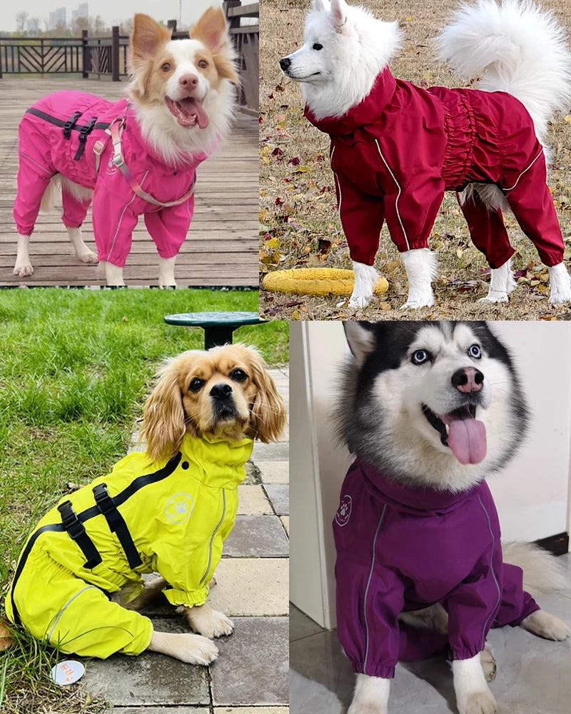 Iron Paw Waterproof Reflective Dog Raincoat