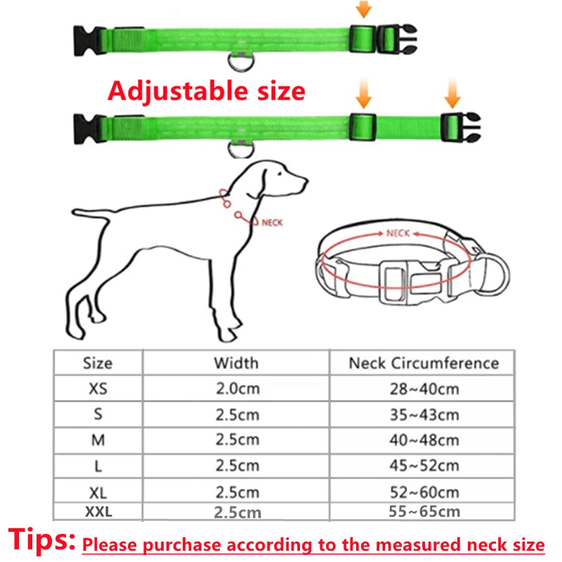 Iron Paw USB Rechargeable LED Safety Collar