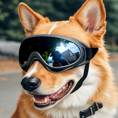 Iron Paw UV Protection Pet Goggles