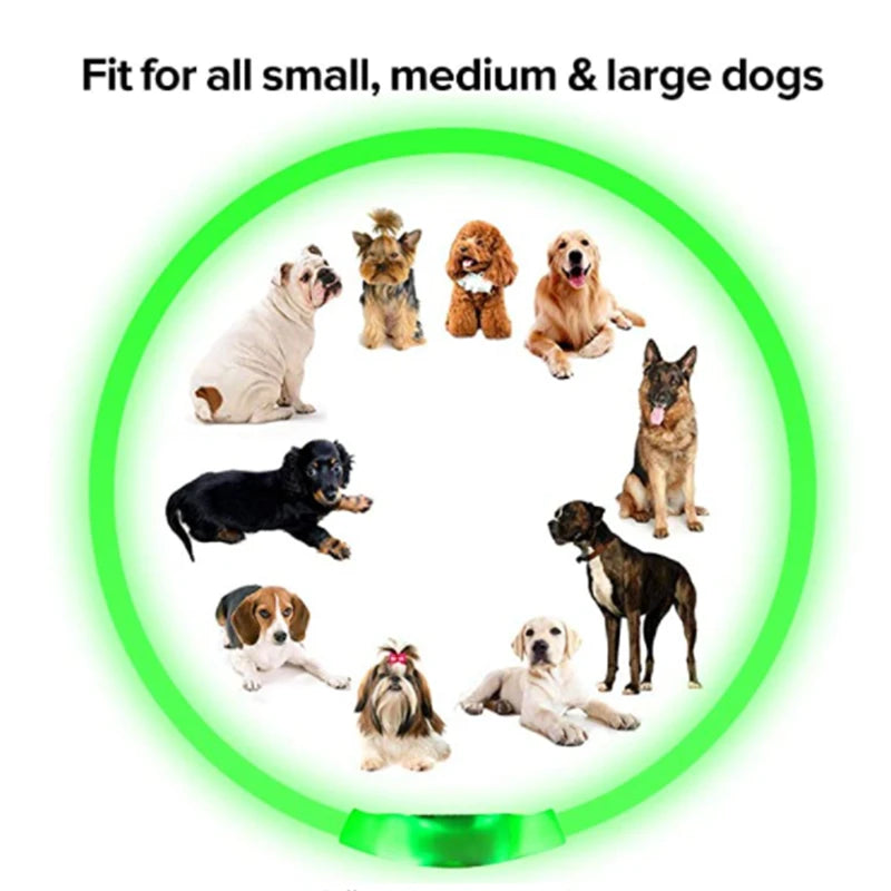 Iron Paw USB Rechargeable LED Safety Collar