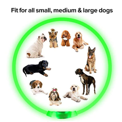 Iron Paw USB Rechargeable LED Safety Collar