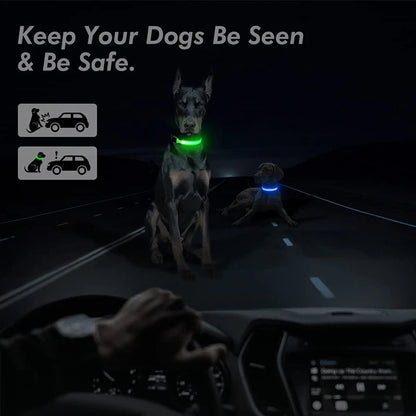 Iron Paw USB Rechargeable LED Safety Collar