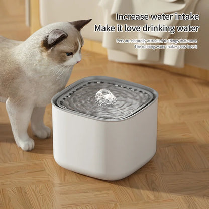 3L Filtered Pet Water Fountain — USB Circulating Dispenser
