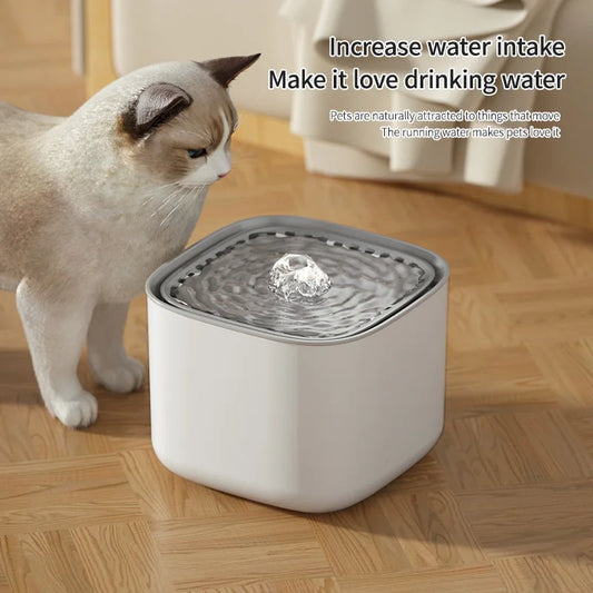 3L Filtered Pet Water Fountain — USB Circulating Dispenser